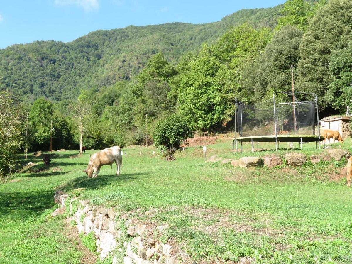 El Paller Del Moli De La Plana Riudaura Luaran gambar